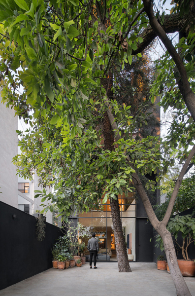 Игра естественного света в тёплом минималистичном интерьере в Мехико