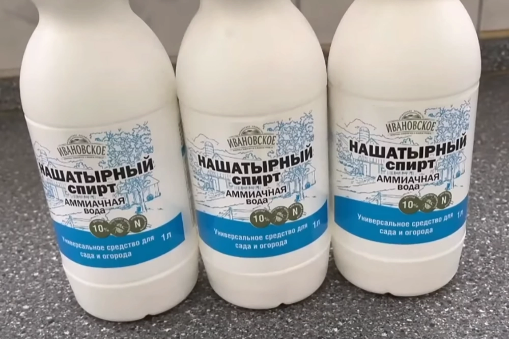 
        Борная кислота, гели, дезинсекция. Как избавиться от тараканов в квартире    