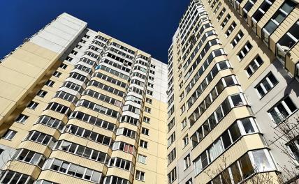 Судьба человейника: Что ждет высотные ульи в дальнейшем Судьба человейника: Что ждет высотные ульи в дальнейшем