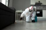 Борная кислота, гели, дезинсекция. Как избавиться от тараканов в квартире